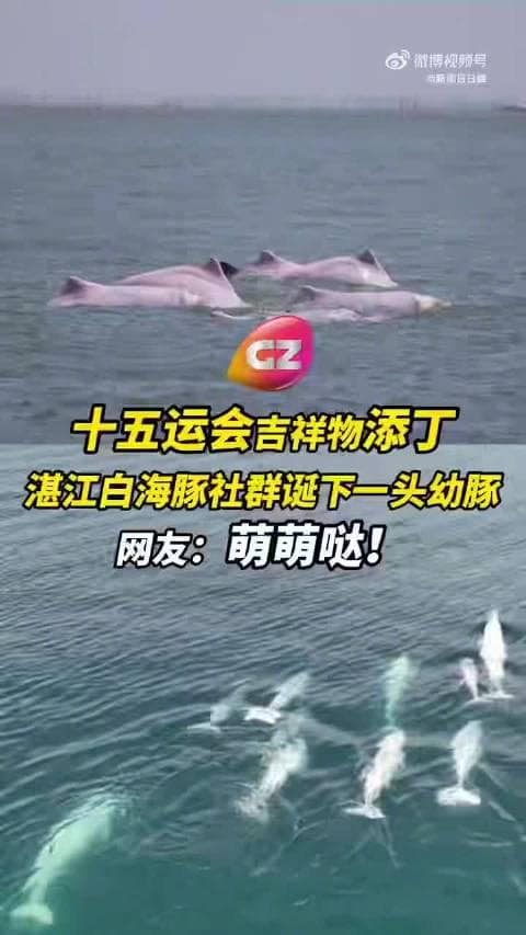 How Overseas Chinese Can Bypass Geo-Restrictions to Stream Mainland Movies, TV Shows & Music Smoothly