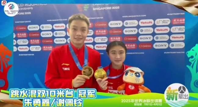 Breaking the Great Firewall: How Overseas Chinese Can Bypass Geo-Restrictions to Watch Mainland Shows