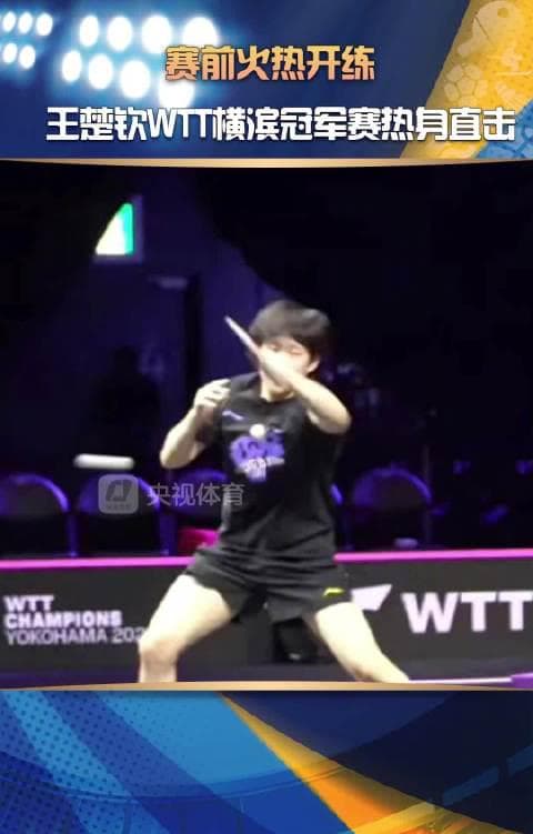 Wang Chuqin's Intense Training Ahead of WTT Yokohama Match