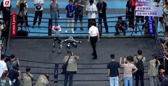 Robot Boxing Fail Goes Viral: Watch This Hilarious Moment When a Robot Knocks Itself Out!