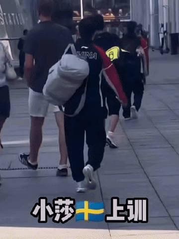 How Overseas Chinese Can Bypass Geo-Restrictions to Watch Sun Yingsha's Training Videos in Sweden