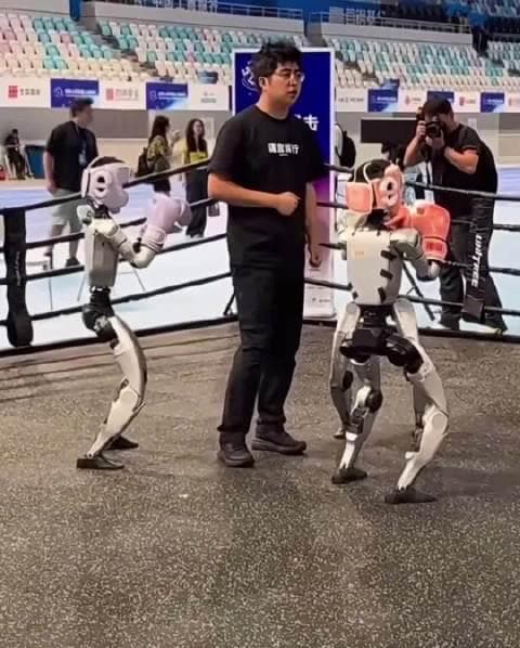 Robot Boxer Takes Training Too Seriously at 2025 World Humanoid Games