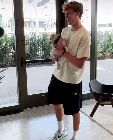 How Overseas Chinese Can Bypass Geo-Restrictions to Watch Mainland Shows (Plus: The Viral Moment Tennis Star Jannik Sinner Melted Over a Puppy)