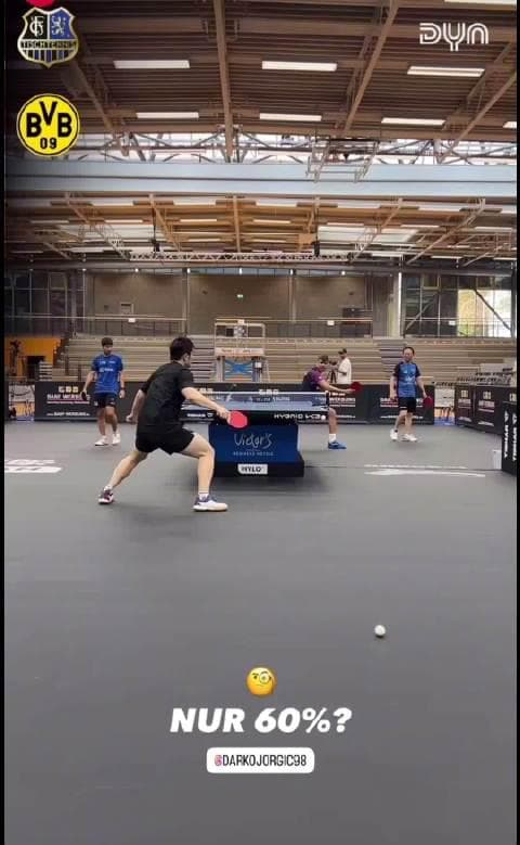 Fan Zhendong Leads Two Crucial Matches in German Bundesliga