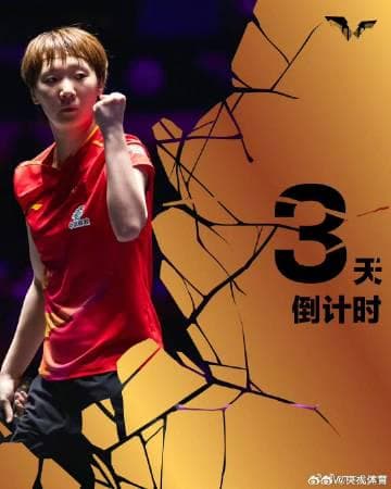 Wang Manyu Breaks Through at WTT China Grand Slam
