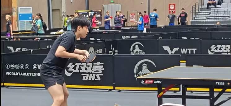 When Overseas Chinese Can't Watch Wang Chuqin's Match: The Real Struggle Behind Regional Restrictions