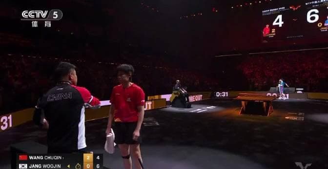 When My Cousin in Canada Couldn't Watch Wang Chuqin's Match, I Realized: This Is What Overseas Chinese Really Miss