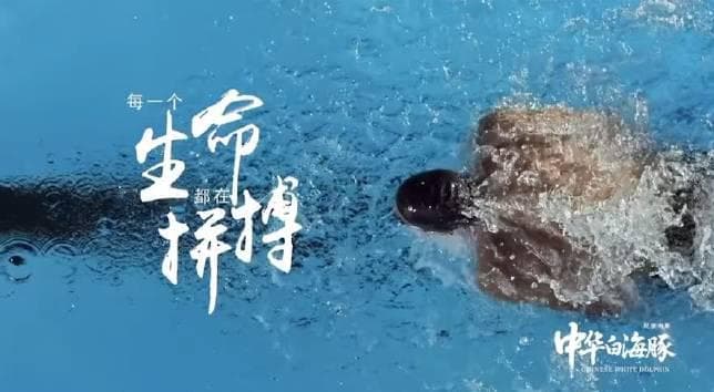 How Overseas Chinese Can Unlock Mainland Streaming Content: From Regional Restrictions to Buffer-Free Viewing