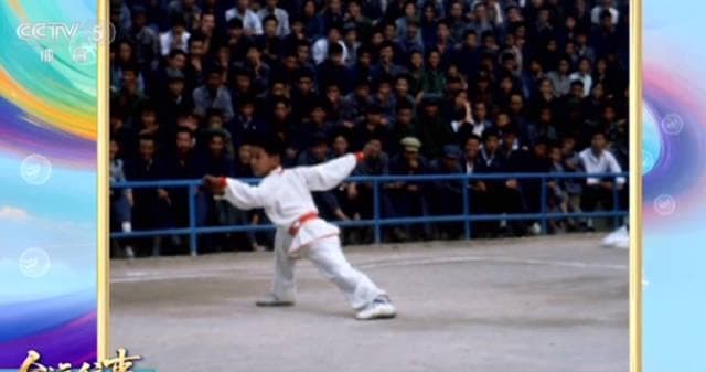 How Overseas Chinese Can Unlock Mainland Streaming Content: From Regional Restrictions to Smooth Viewing