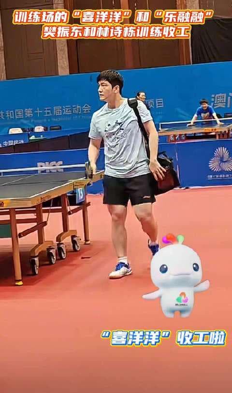 How Overseas Chinese Can Unlock Mainland Streaming: Beyond the Fan Zhen Dong Meme