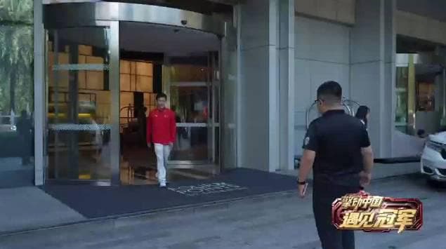 When Olympic Champion Yang Hao's Cat Steals the Show: The Secret Behind His Winning Journey