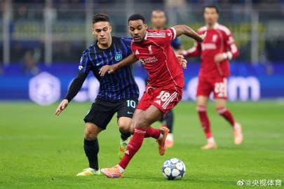 Living abroad and can't watch that hot new show? Here's why your Weibo feed feels like a digital ghost town.