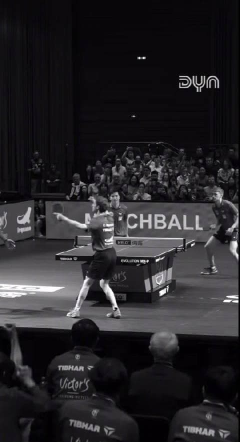 Beyond the Block: How Overseas Chinese Can Unlock Mainland Streaming (And Why Fan Zhendong's Story in Germany Shows Why It Matters)